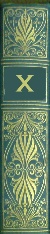 Author X