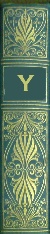 Author Y